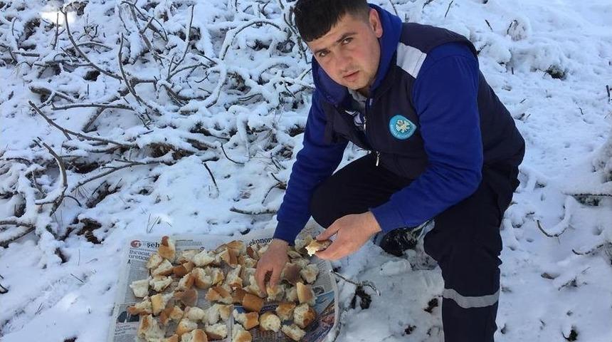 Yaban Hayatı Koruma Altında