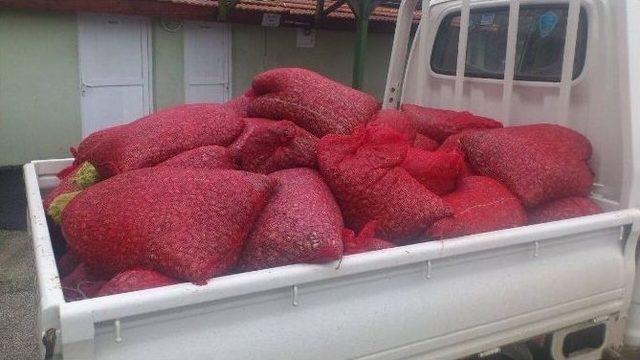 Edirne’de 1,5 Ton Midye Ele Geçirildi