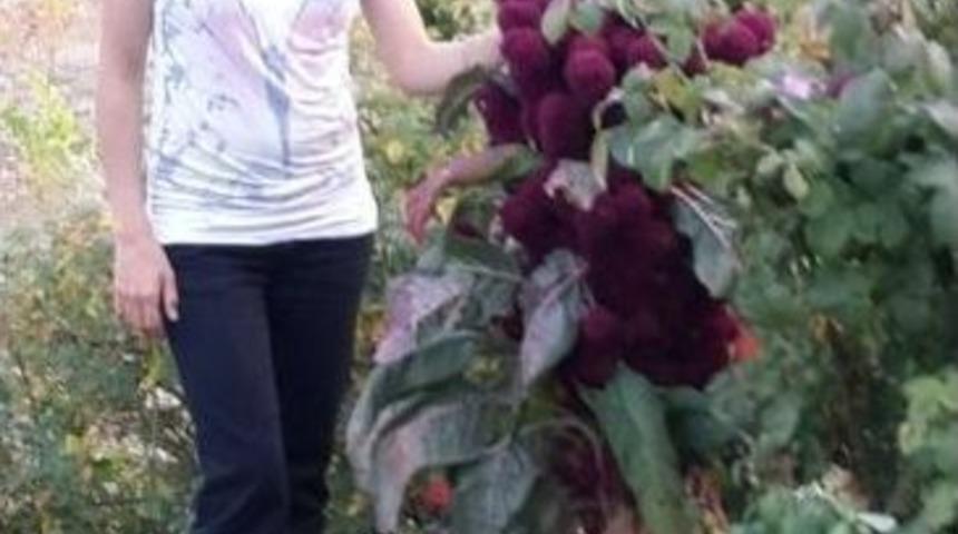 Meslek Eğitim Merkezi Ücretsiz Kurs Vermeye Devam Ediyor