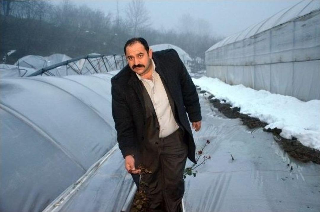 Ordu&rsquo;da Yaşanan Don Seralara Zarar Verdi