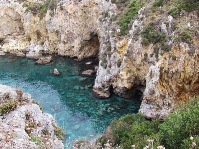 Kuşadası denizatı görülen kıyılar haritasına girdi