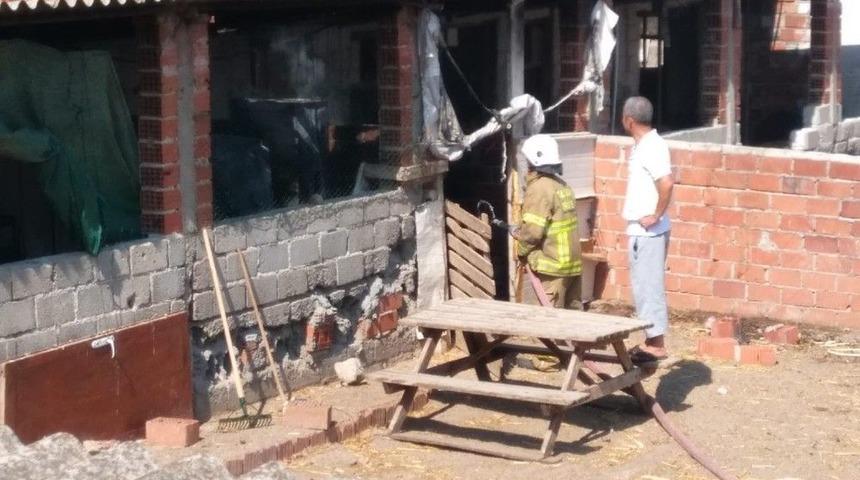 Damda &Ccedil;ıkan Yangın Korkuttu