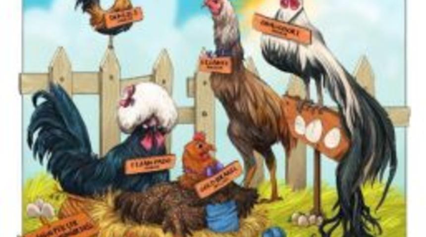 Tavuklar Ve Yumurtaları Sergisi Eskişehir’de