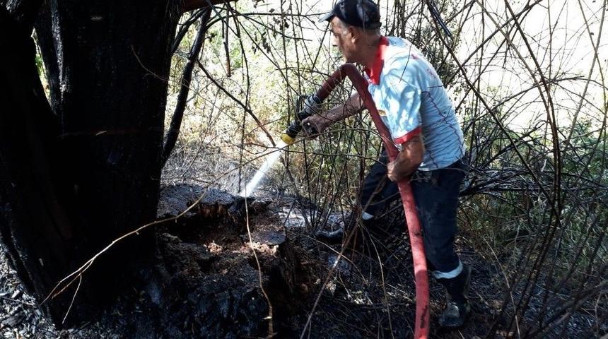 Otluk Yangını Ağa&ccedil;lara Zarar Verdi
