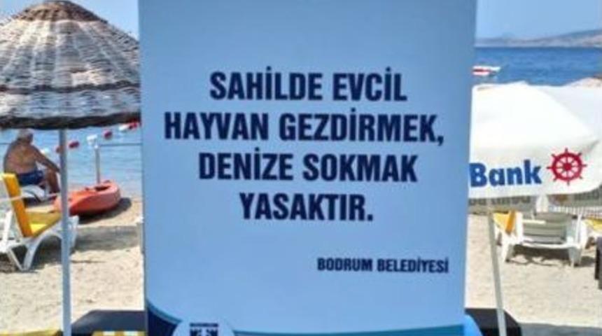 Berg&uuml;zal Korel&rsquo;in Tabela Tepkisinin Ardından Bodrum Belediyesi&rsquo;nden A&ccedil;ıklama