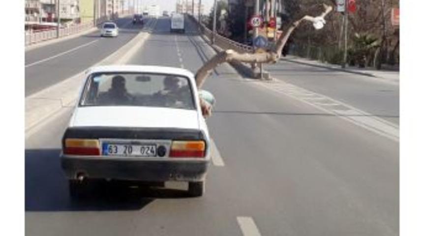 Otomobilin Camından Uzatılan 2 Metrelik Ağa&ccedil; Şaşkına &Ccedil;evirdi