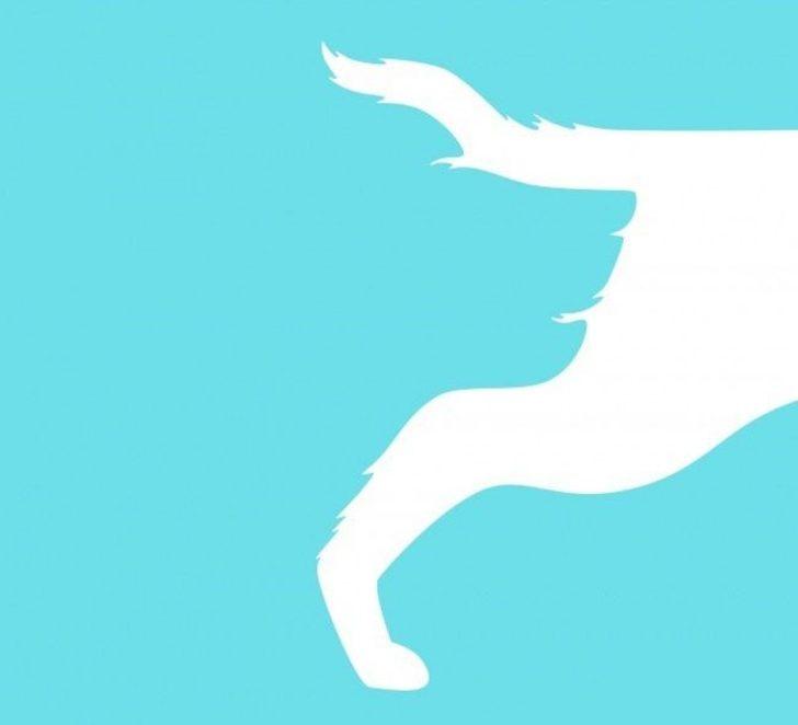 Sosyal medya bunu konuşuyor! İlk bakışta ne görüyorsunuz?  G5