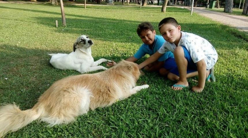 Kendileri Küçük, Yürekleri Büyük İki Minikten Ders Gibi Davranış