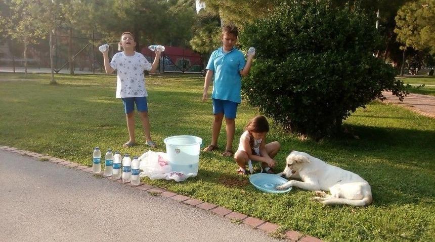 Su Satarak Hayvanlara Mama Alan Miniklere Piriştina’dan Destek
