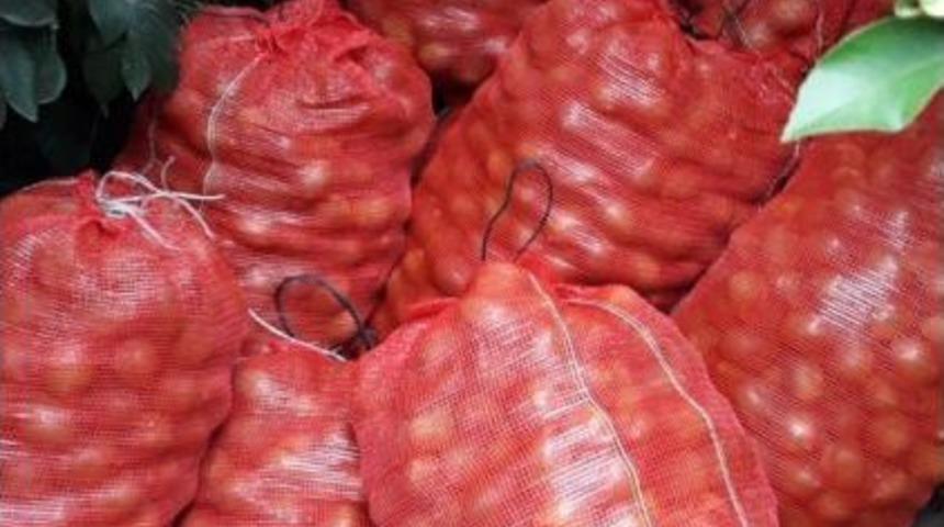 Hırsızlar Limon Bah&ccedil;elerine Dadandı