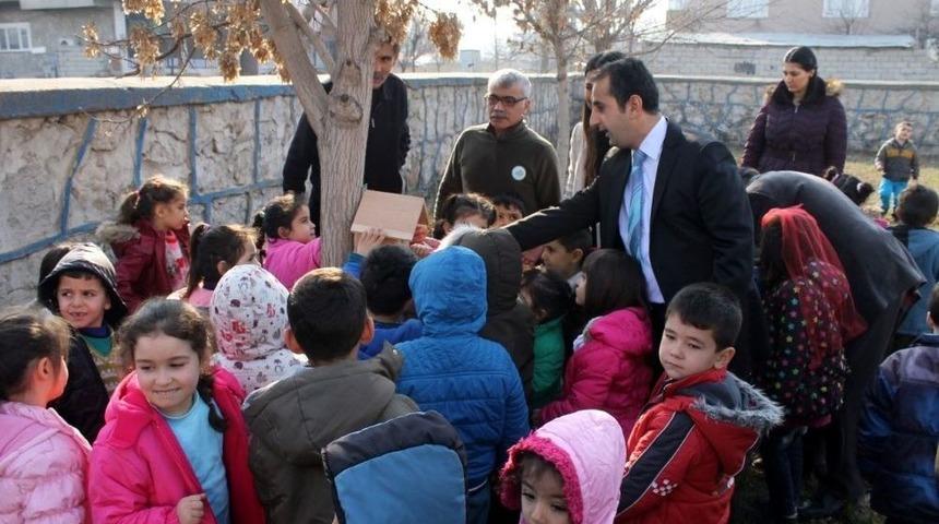 Miniklerin Kuş Sevgisi