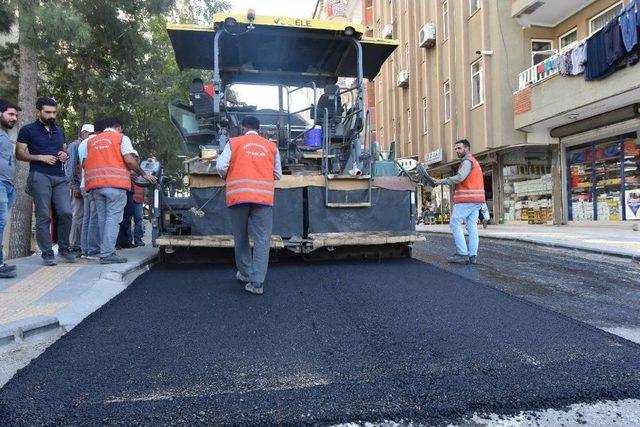 Kayyum Başkan Öztürk Asfaltsız Yol Bırakmıyor