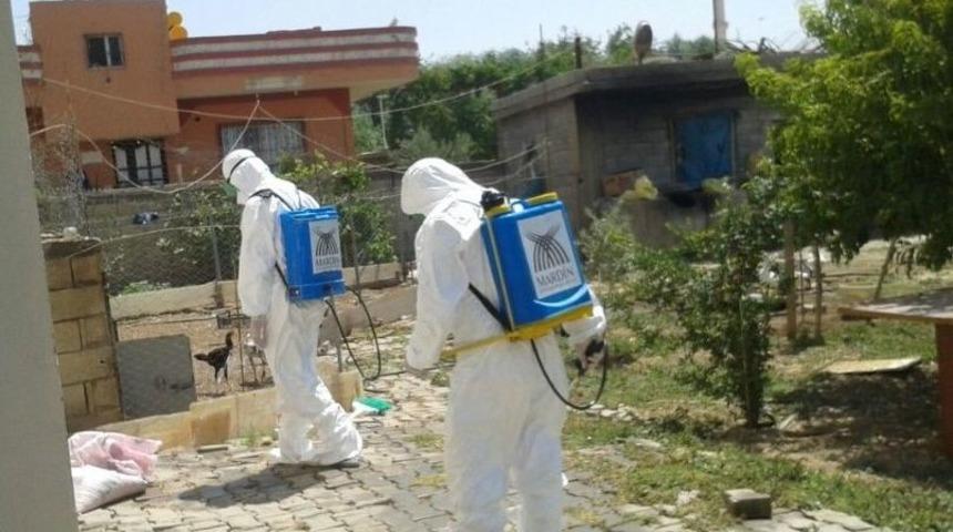 Mardin&rsquo;de Akrep Ve Haşere İle M&uuml;cadele Timi Kuruldu