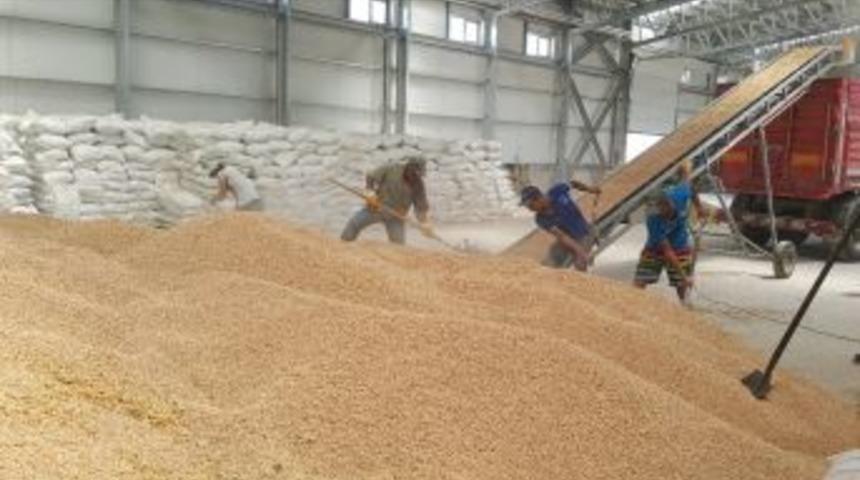 Kayseri Şeker Nohut Ve Mercimek &Ccedil;ift&ccedil;isini Sevindirecek