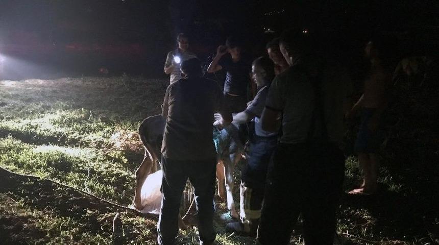 İtfaiyeden &lsquo;sarıkız&rsquo; Operasyonu