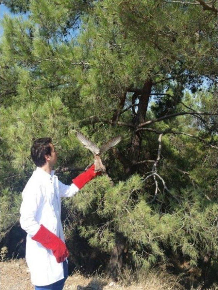 Yaralı Yaban Hayvanlarına Umut Oldular G5