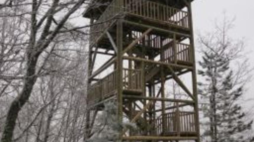 Yaban Hayat İ&ccedil;in G&ouml;zetleme Kuleleri Yapıldı