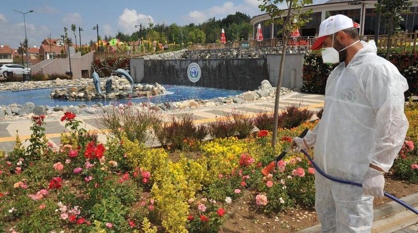 Boz&uuml;y&uuml;k&rsquo;te Parklar Her Daim Yeşil