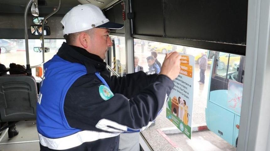 Sokak Hayvanları İçin Bilgilendirme Broşürü