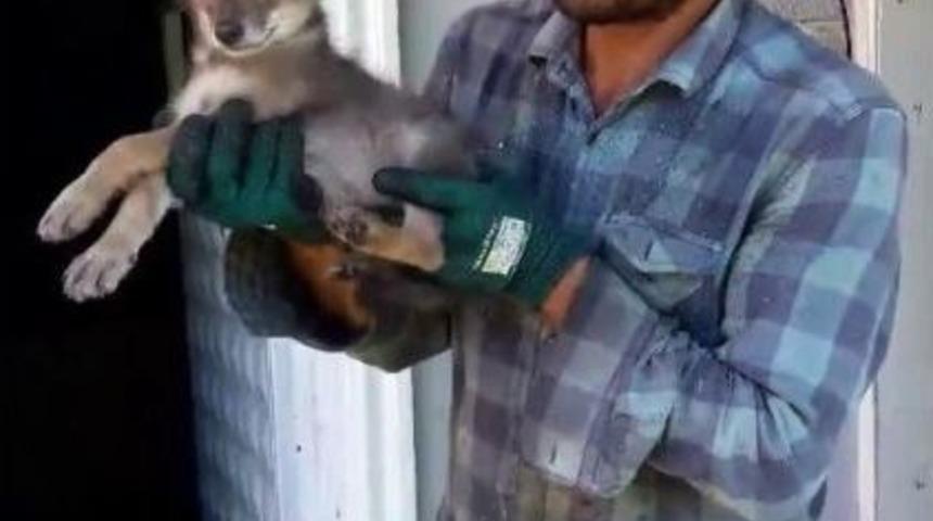 Sakaryalı Çiftçiden Alkışlanacak Davranış