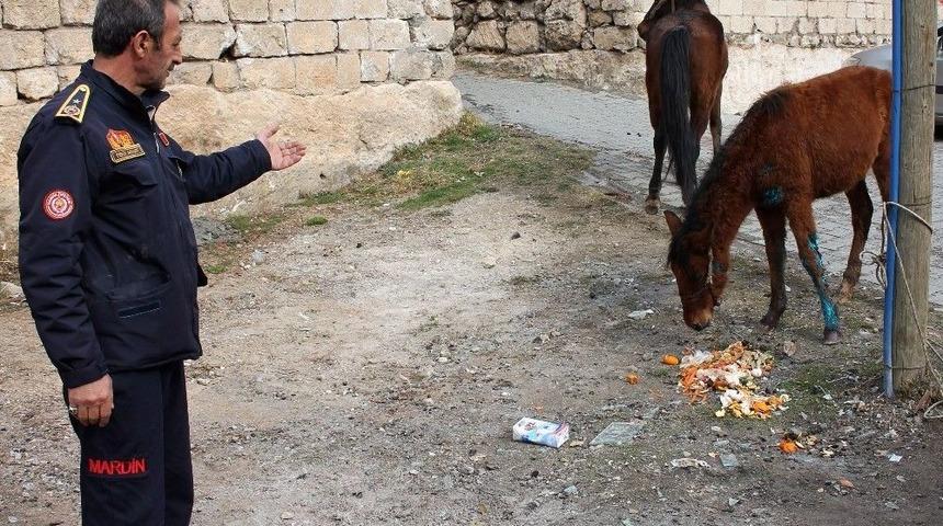 Jiletli Tellere Sıkışan At Ve Tayı İtfaiye Kurtardı