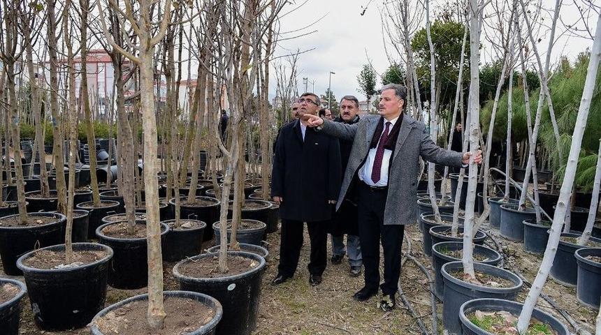 Malatya&rsquo;nın Yeşil Dokusu Artıyor