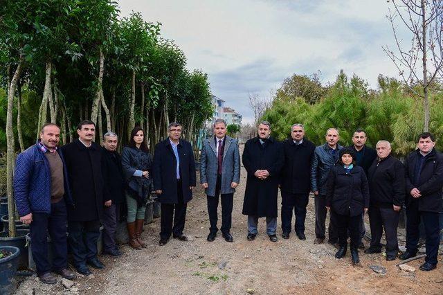 Malatya’nın Yeşil Dokusu Artıyor