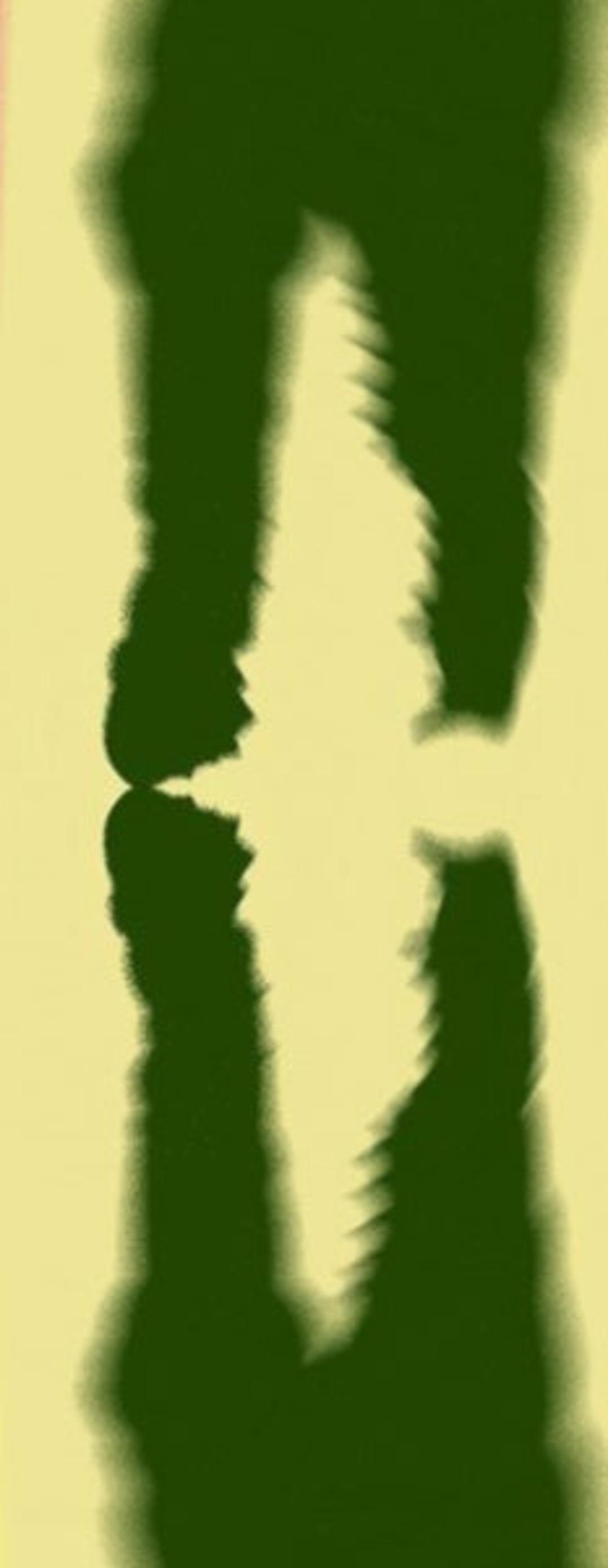 Sosyal medya bunu konuşuyor! İlk bakışta ne g&ouml;r&uuml;yorsunuz? 