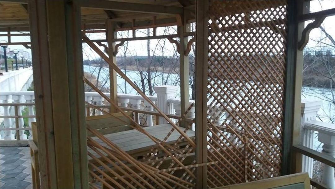 G&uuml;l&uuml;&ccedil; Sahilindeki Kamelyaları Par&ccedil;aladılar