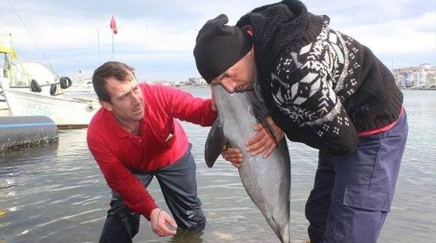 İnsanlık &Ouml;lmemiş