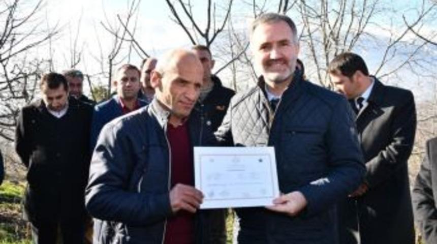 25 &Ccedil;ift&ccedil;i Meyve Budama Sertifikasını Aldı
