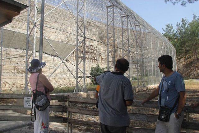 Kelaynaklar İçin Fırat Ve Dicle Havzasında Yeni Yaşam Alanları