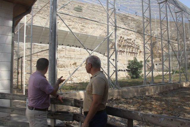 Kelaynaklar İçin Fırat Ve Dicle Havzasında Yeni Yaşam Alanları