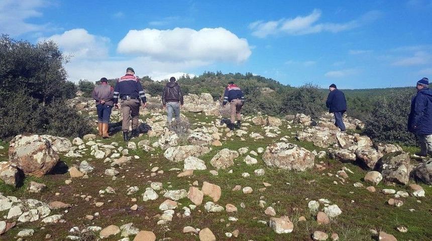 Kaybolan Koyunları Jandarma Buldu