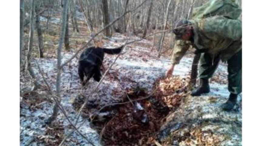 Tokat&rsquo;ta Pkk Sığınağı Bulundu