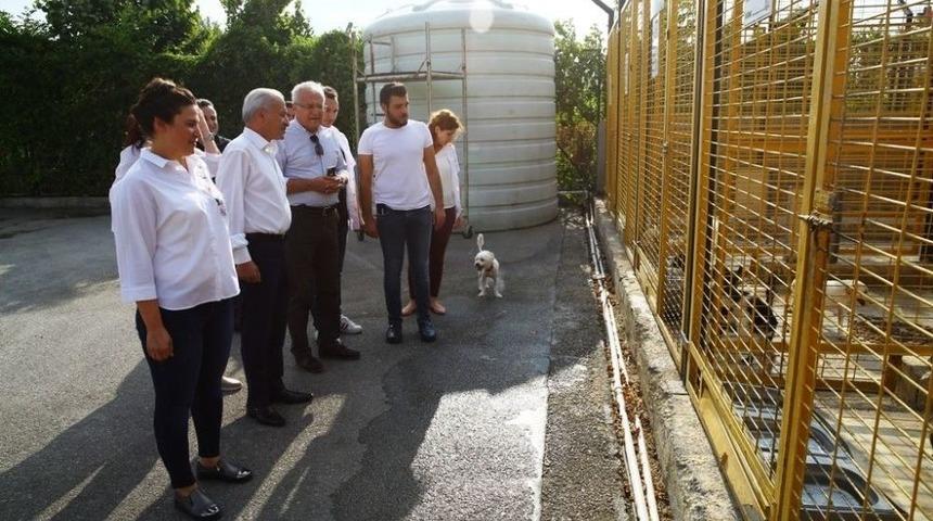 Vali Yardımcısı &Uuml;nsal Hayvan Bakım Merkezi&rsquo;ni Denetledi