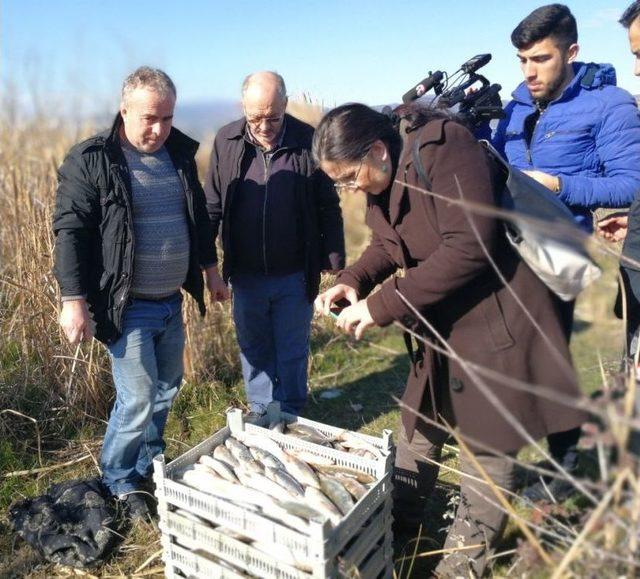 İznik Gölü’nün Çekilme Sebebi Kuraklık