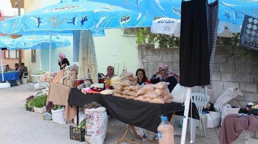 Karacabey&rsquo;de Ihlamur Festivali Coşkusu