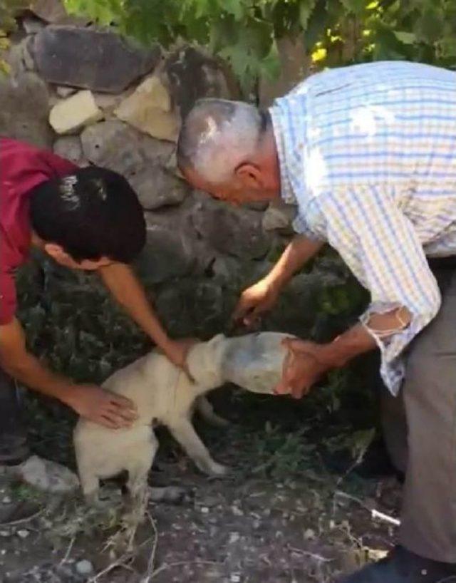 Baba Oğuldan Örnek Davranış