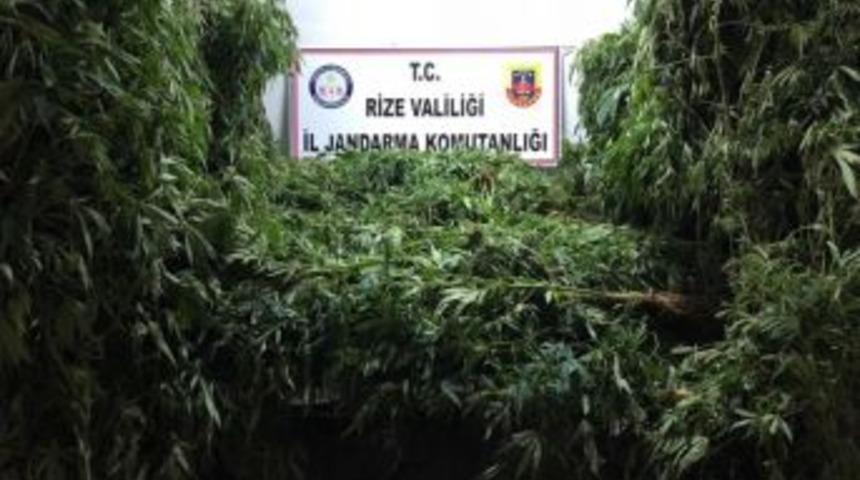 Rize’de Jandarma Operasyonu