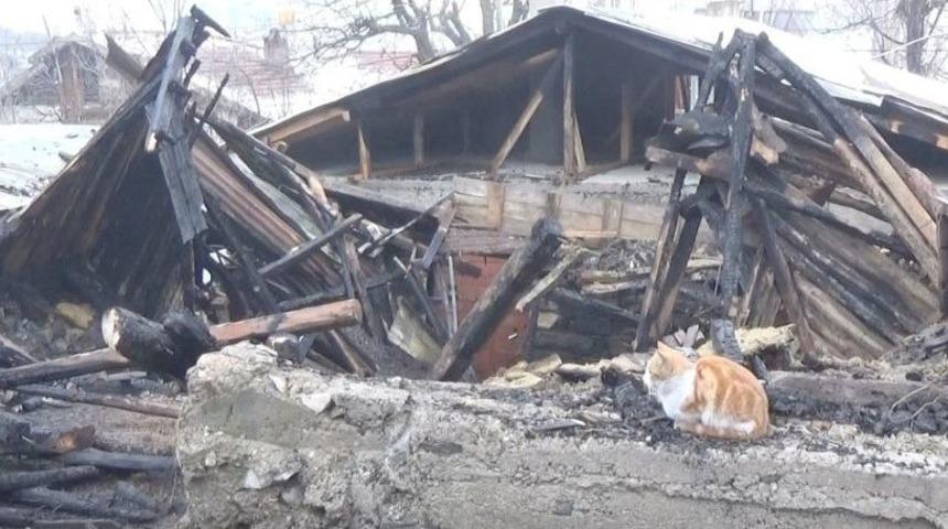 Evi Yanan Vatandaş Kedileri Dışarıda Kaldığı İ&ccedil;in G&ouml;zyaşı D&ouml;kt&uuml;