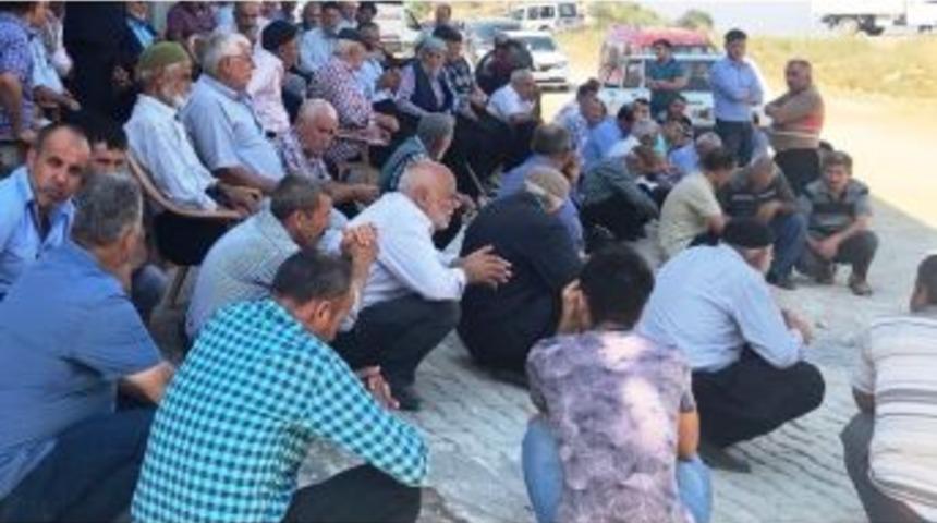 Domuz Zannettikleri Akrabalarını Öldürdüler