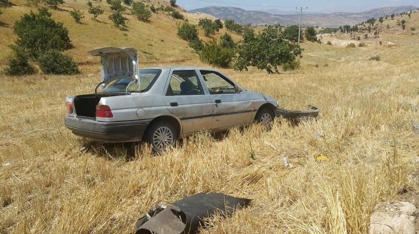 K&ouml;pek Kazaya Neden Oldu