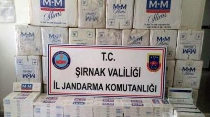 Şırnak&rsquo;ta 15 G&uuml;nde 61 Bin 999 Paket Ka&ccedil;ak Sigara Ele Ge&ccedil;irildi