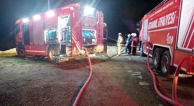 Sultangazi’de Odunlukta Çıkan Yangında Kümes Hayvanları Telef Oldu