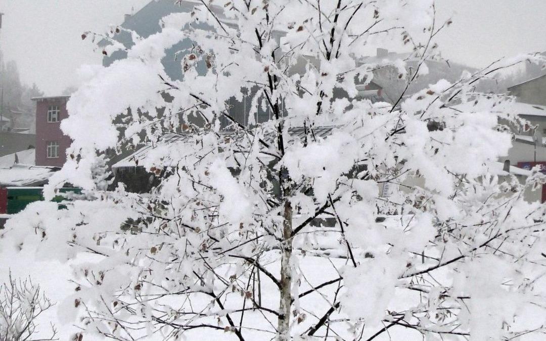 Ardahan&rsquo;da Kırağı Sonrası Kartpostallık G&ouml;r&uuml;nt&uuml;ler