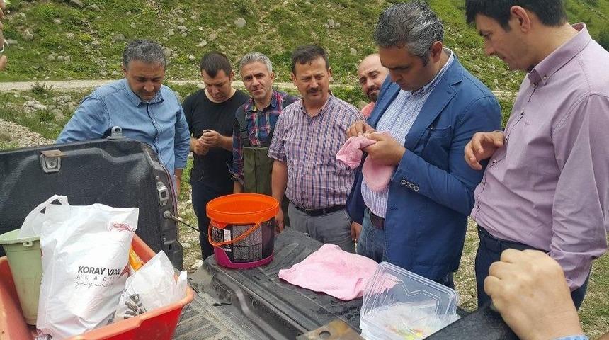 Bin 461 Gün Sonra Bırakıldıkları Derelerde İncelendiler