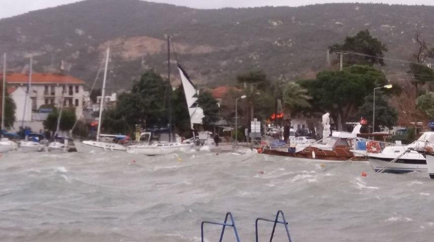 Fo&ccedil;a&rsquo;da Şiddetli Lodos Hayatı Olumsuz Etkiledi