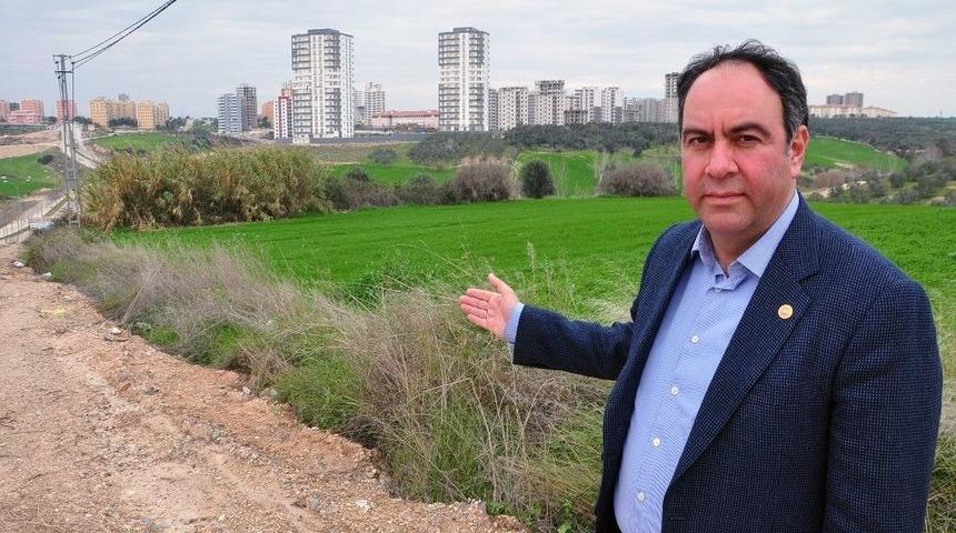 T&uuml;mer: "sarı&ccedil;am&rsquo;da Sorun B&uuml;y&uuml;k"