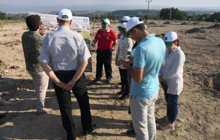 Bursa’da Bataklık Alanlara Meyve Fidanları Dikildi G1